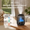 image:imageDREO 3L Humidifiers for Bedroom 30H Runtime 26 dB Quiet Black  Easy to Refill amp Clean Precise Humidity Control Night light 360 Nozzle Cool Mist Air Humidifier for Large Room BabyBlack