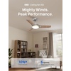 image:imageDREO Ceiling Fan with Lights for IndoorOutdoor 42 Low Profile Ceiling fan with Light and Remote Control for Bedroom 22dB Quiet DC Motor QuickInstall 6 Speeds Reversible Dimmable 5CCT BlackGrey