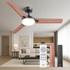 image:imageDREO Ceiling Fan with Lights for IndoorOutdoor 42 Low Profile Ceiling fan with Light and Remote Control for Bedroom 22dB Quiet DC Motor QuickInstall 6 Speeds Reversible Dimmable 5CCT BlackBlack