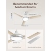 image:imageDREO Ceiling Fan with Lights for IndoorOutdoor 42 Low Profile Ceiling fan with Light and Remote Control for Bedroom 22dB Quiet DC Motor QuickInstall 6 Speeds Reversible Dimmable 5CCT BlackWhite