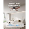image:imageDREO Ceiling Fan 44 Inch Low Profile Ceiling Fan with Light and Remote 5CCT LED 6Level Dimmable 6Speed Reversible Motor 22 dB Timer EasyInstall Black Flush Mount for BedroomBlack