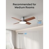image:imageDREO Ceiling Fan 44 Inch Low Profile Ceiling Fan with Light and Remote 5CCT LED 6Level Dimmable 6Speed Reversible Motor 22 dB Timer EasyInstall Black Flush Mount for BedroomSilver