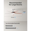 image:imageDREO Smart Ceiling Fan with Lights 52 Inch 12 Speeds amp 3 Fan Modes Stepless Dimmable LED Light Timer 22dB Quiet DC Motor RemoteAPPAlexa Control Black Ceiling Fans Indoor 2026 UpgradedSilver