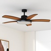 image:imageDREO Smart RGBIC Ceiling Fans with Lights Low profile Ceiling Fan with AlexaApp 52 Dimmable Lighting amp Color Tuning 25dB Quiet for Living Room Game Room Easy Installation Black 2026 UpgradedBlack