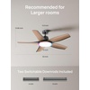 image:imageDREO Smart RGBIC Ceiling Fans with Lights Low profile Ceiling Fan with AlexaApp 52 Dimmable Lighting amp Color Tuning 25dB Quiet for Living Room Game Room Easy Installation Black 2026 UpgradedBlack